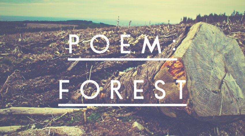 Poem: Forest Image
