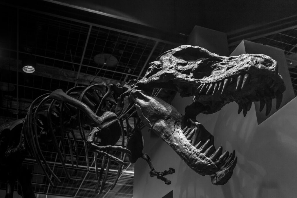 Ignoring biodiversity will lead to a mass exinction event