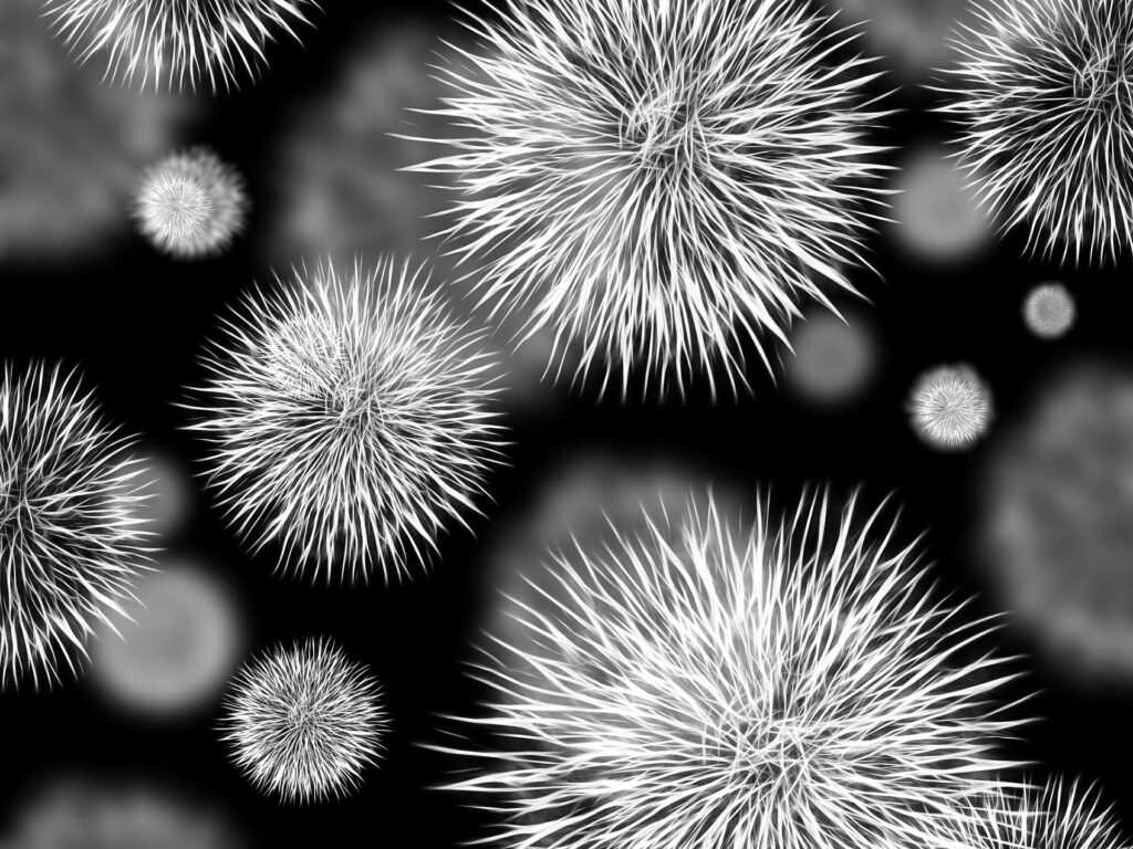 Microscopic life is vital to biodiversity