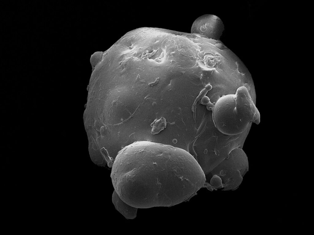 What Are Microbeads