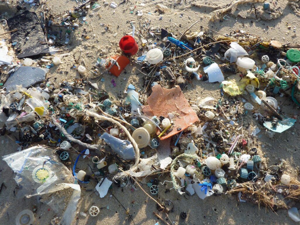 Beach waste