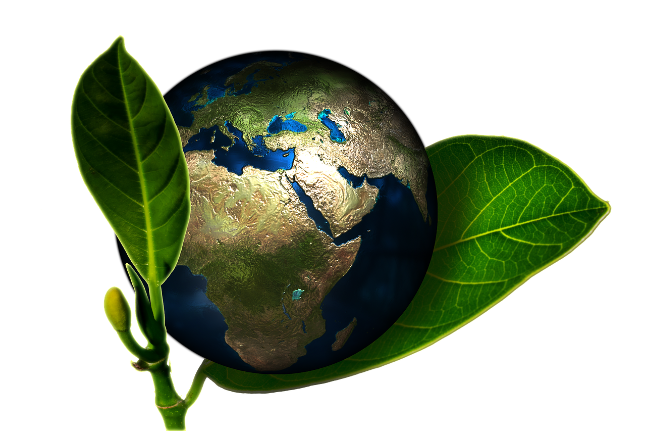 Environmental efforts are made mostly by women