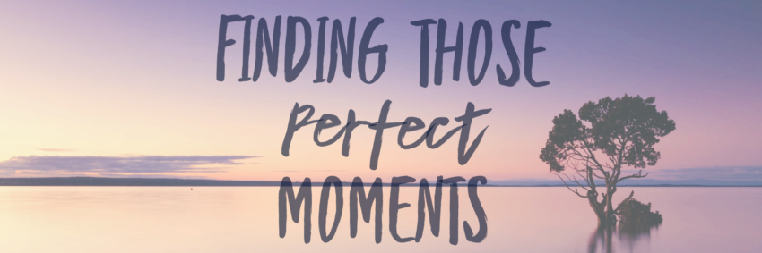 Finding those Perfect Moments Title