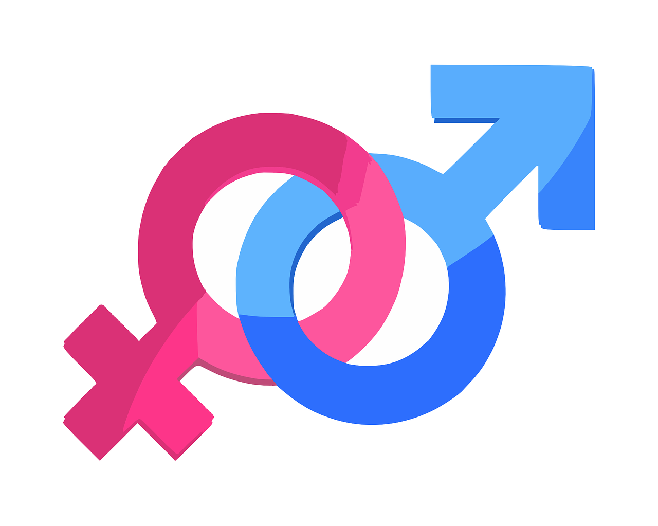 Female representation In Zero Waste Efforts