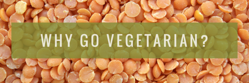 Why Go Vegetarian?
