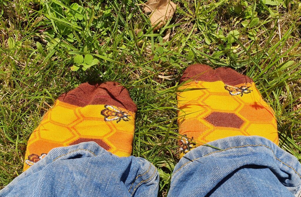 SOCKSHOP Bee Socks